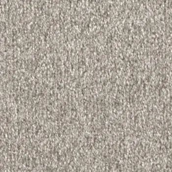 Draufsicht auf Vorwerk Celina 8L51 chips Teppichboden mit Preisschild 89,91 €/m²